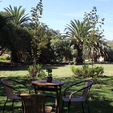 El Arbol Eco Lodge La Serena Exteriör bild