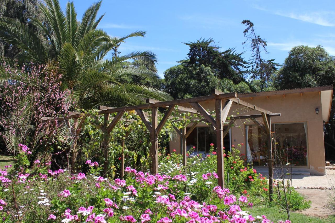 El Arbol Eco Lodge La Serena Exteriör bild