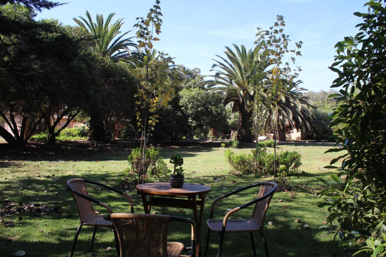 El Arbol Eco Lodge La Serena Exteriör bild