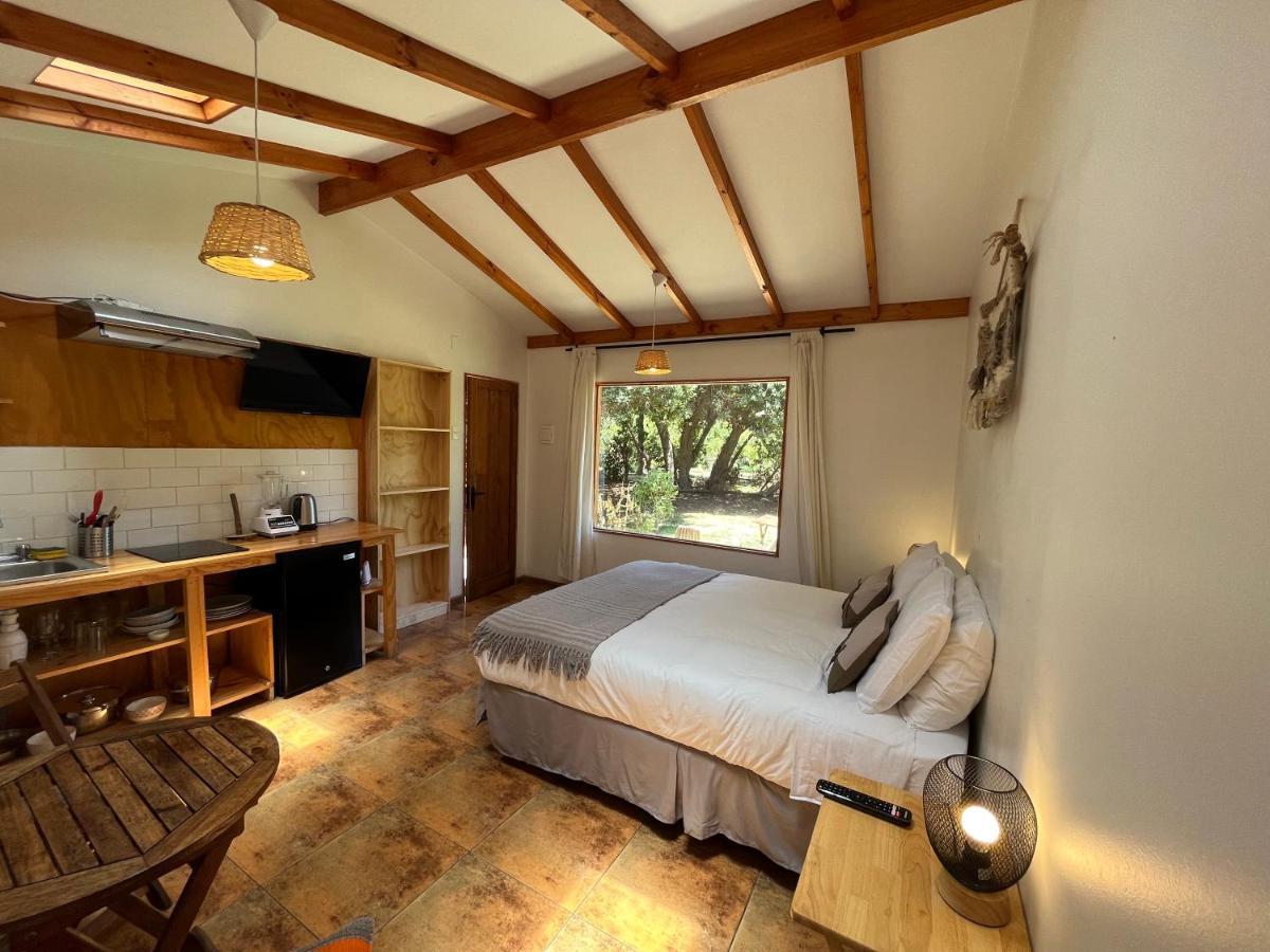 El Arbol Eco Lodge La Serena Exteriör bild