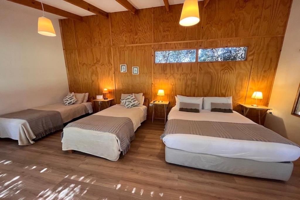 El Arbol Eco Lodge La Serena Exteriör bild