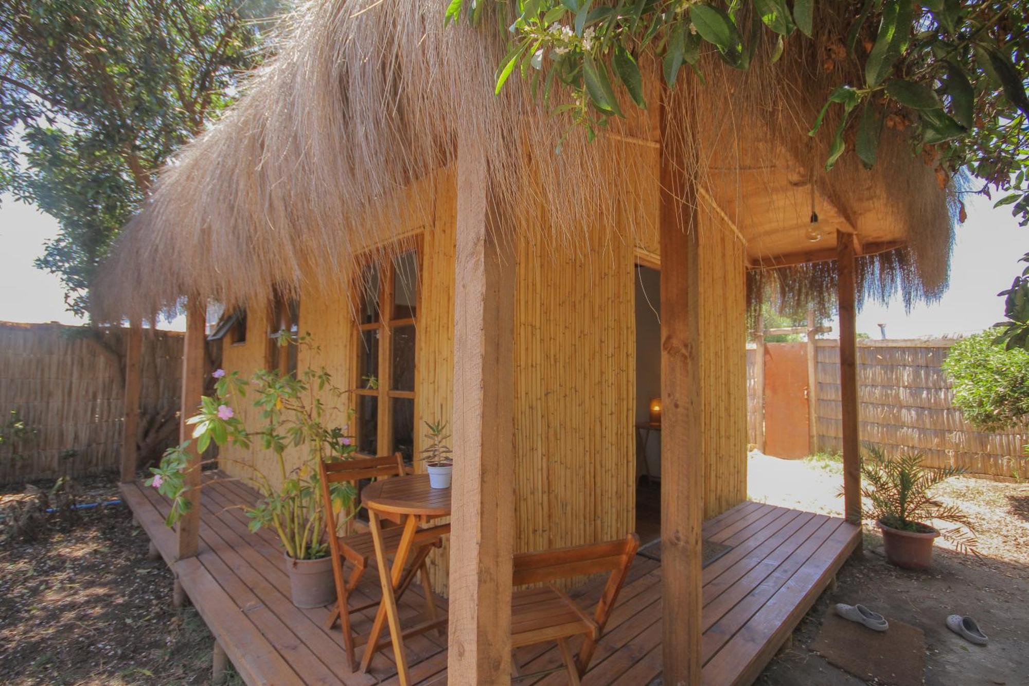 El Arbol Eco Lodge La Serena Exteriör bild