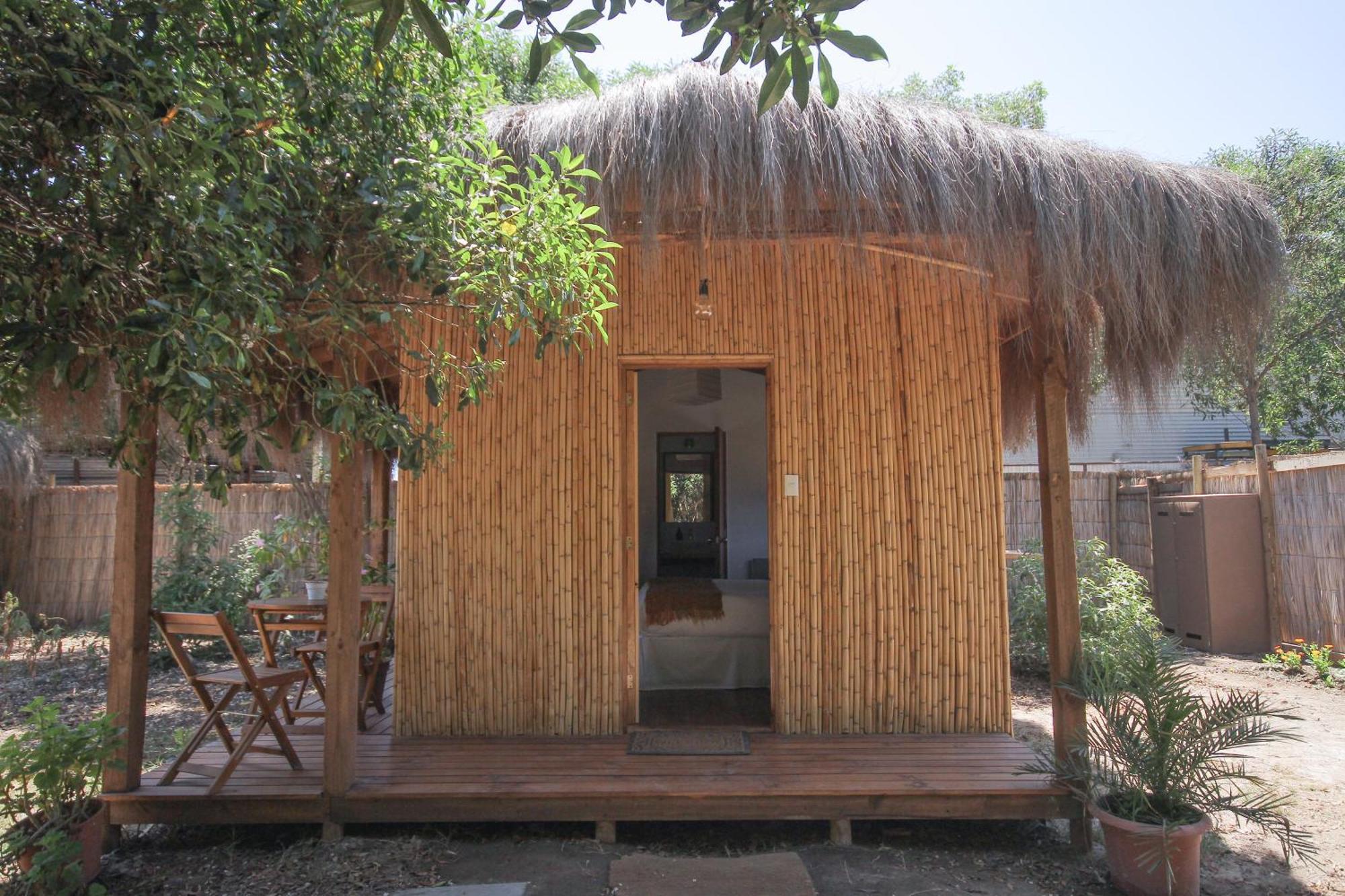 El Arbol Eco Lodge La Serena Exteriör bild