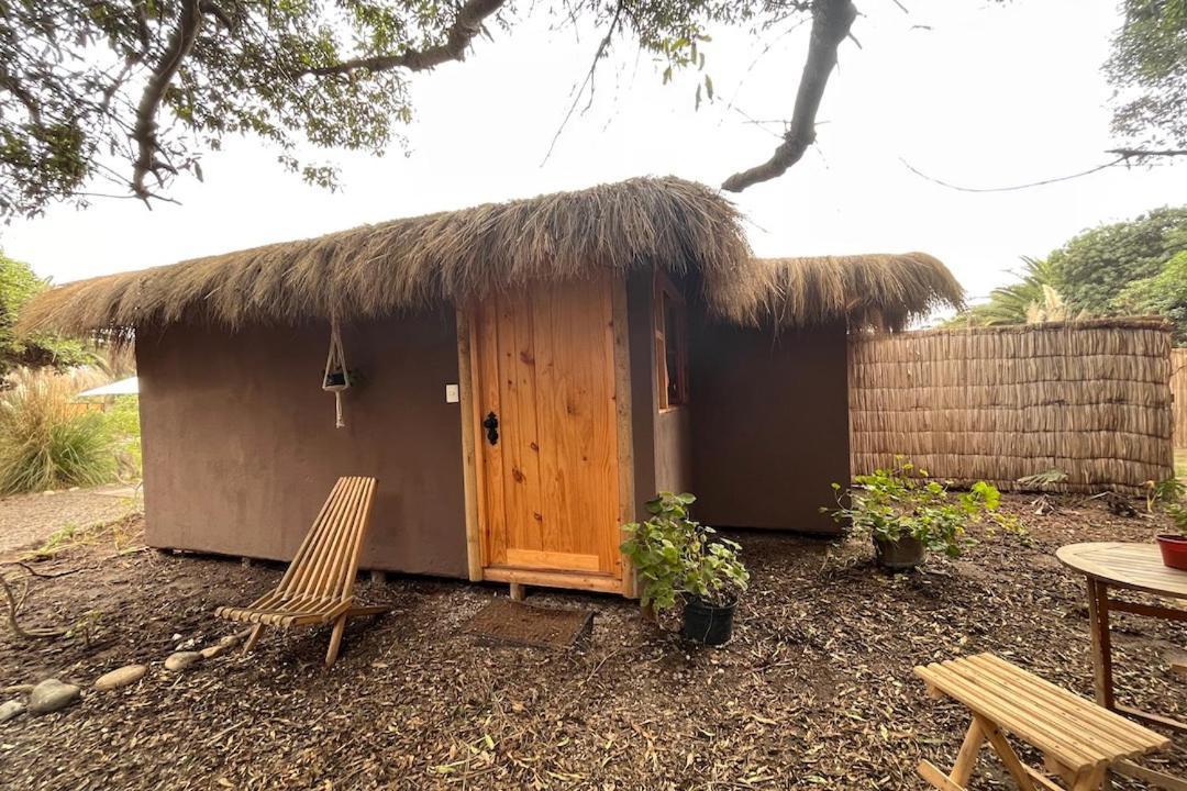 El Arbol Eco Lodge La Serena Exteriör bild