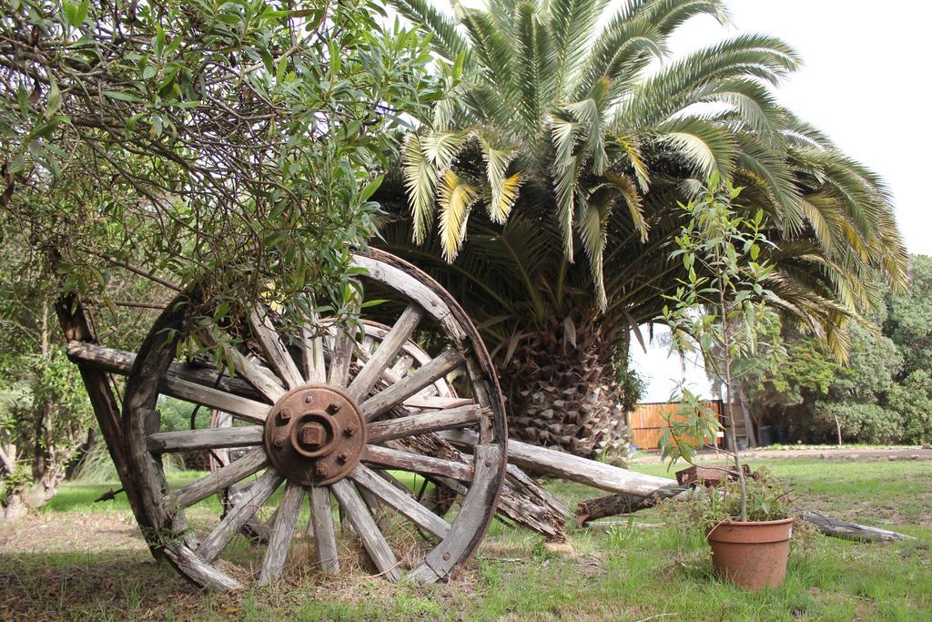El Arbol Eco Lodge La Serena Exteriör bild